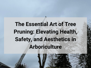 tree health