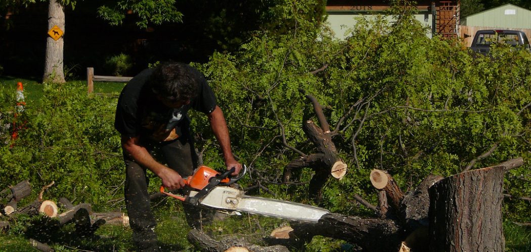 tree trimming